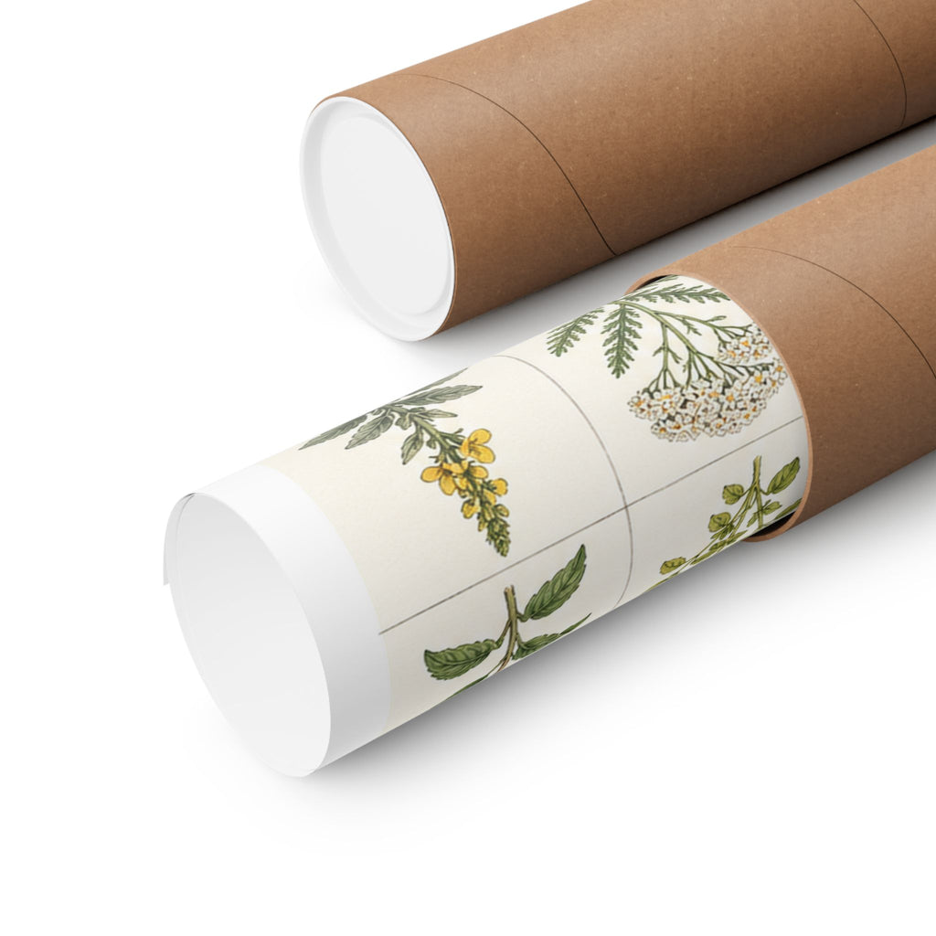 Herbarium Specimen Grid Poster