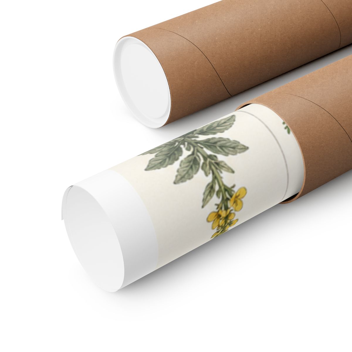 MPBArt verified primary product image | printify_mockup